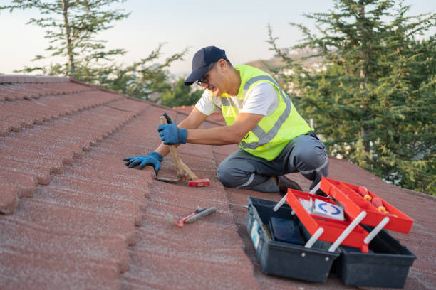 Roof Gutter Cleaning in Franklin Park, FL