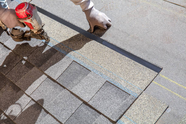 Best Roof Leak Repair  in Franklin Park, FL