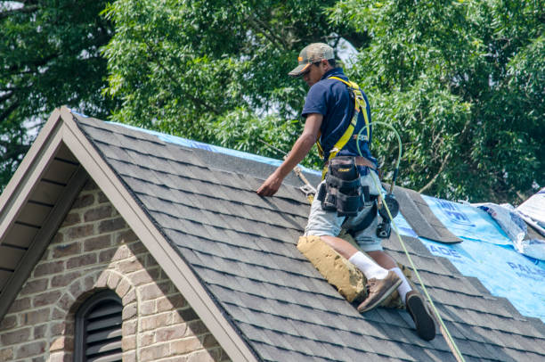 Best Residential Roofing Contractor  in Franklin Park, FL