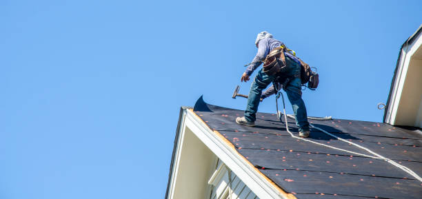 Best Commercial Roofing Services  in Franklin Park, FL