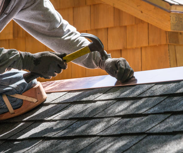 Best Roof Leak Repair  in Franklin Park, FL